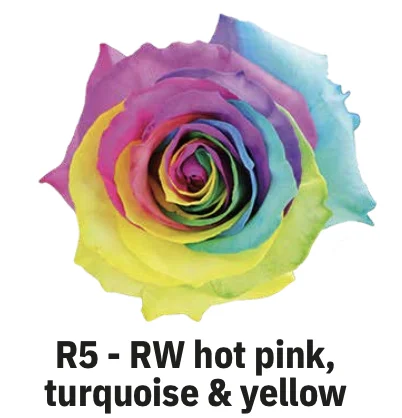 BOYALI EKVATOR RW HOT PİNK-TURQUİSE&YELLOW 