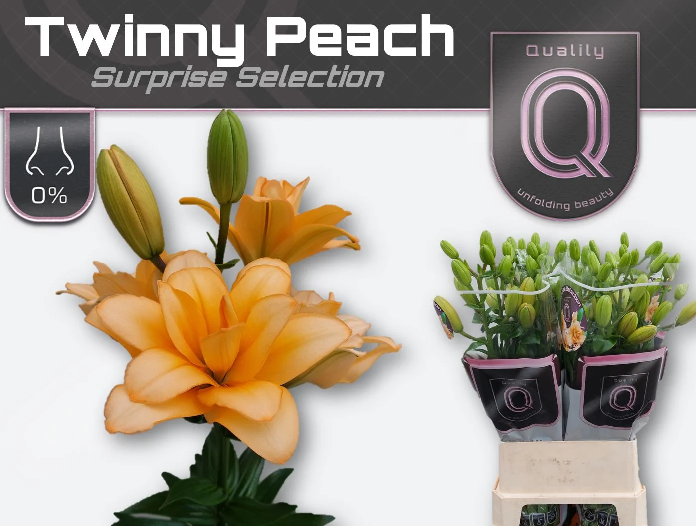 LI-LA-TWINNY-PEACH-5-100CM