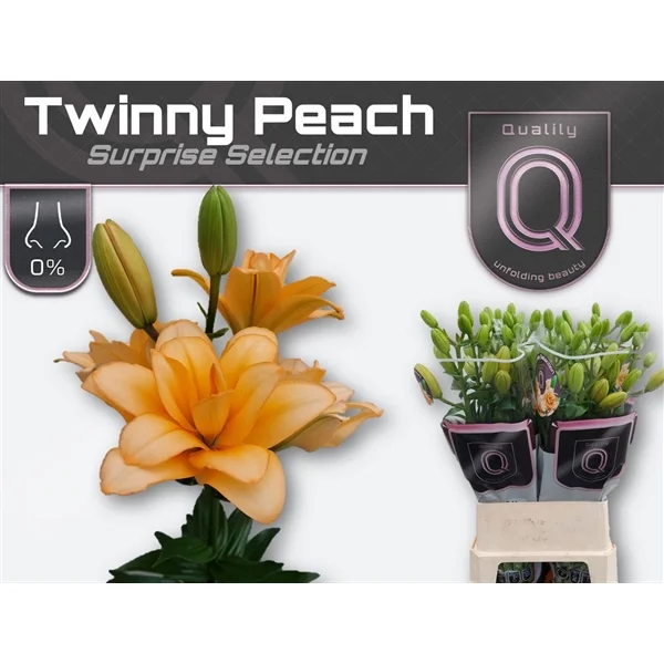 LI-LA-TWINNY-PEACH-100CM