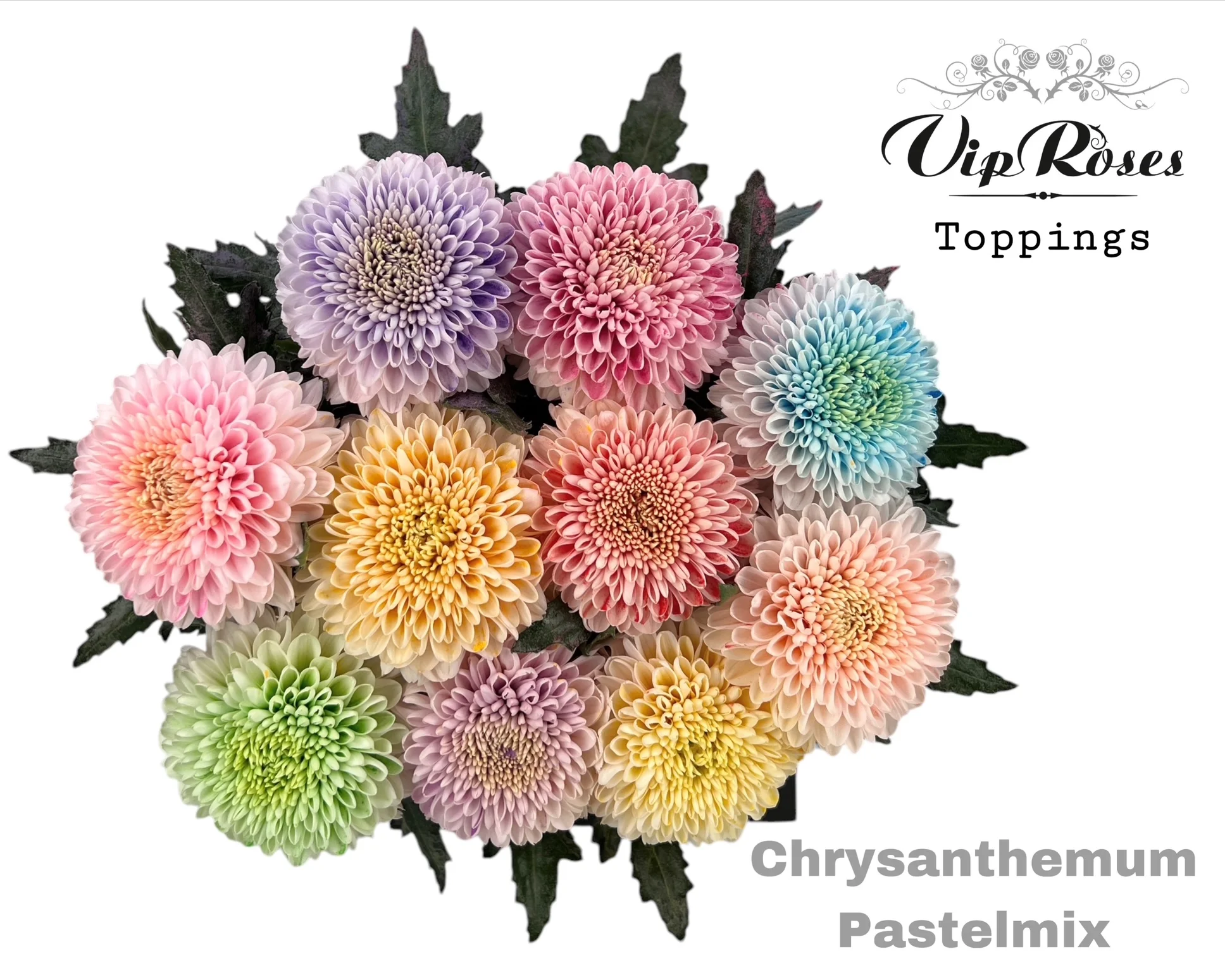 CHR-G-PASTELMIX-75CM
