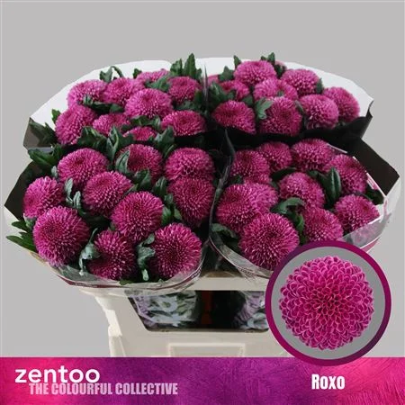 CHR-G-ROXO-70CM