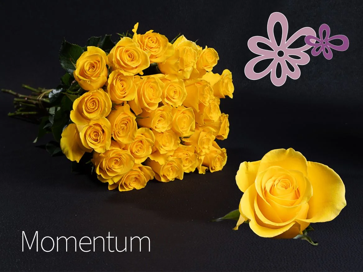 R-GR-MOMENTUM-60CM-60CM