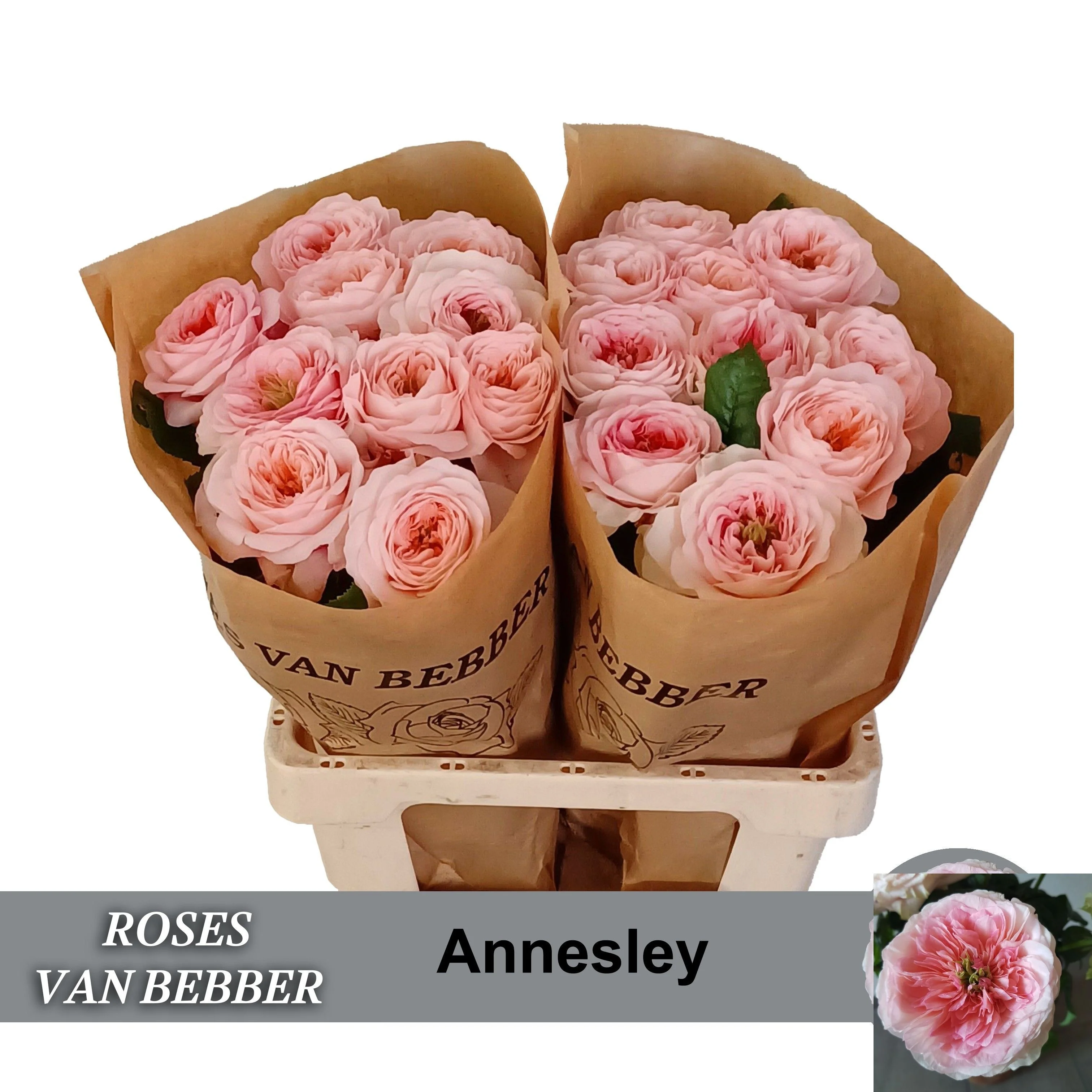 R-GR-ANNESLEY-60CM-60CM