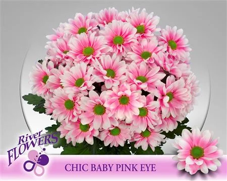  CHR T PEMBE BEYAZ BOYALI BİÇME (RİVER MARKA)STANDART BİÇME 