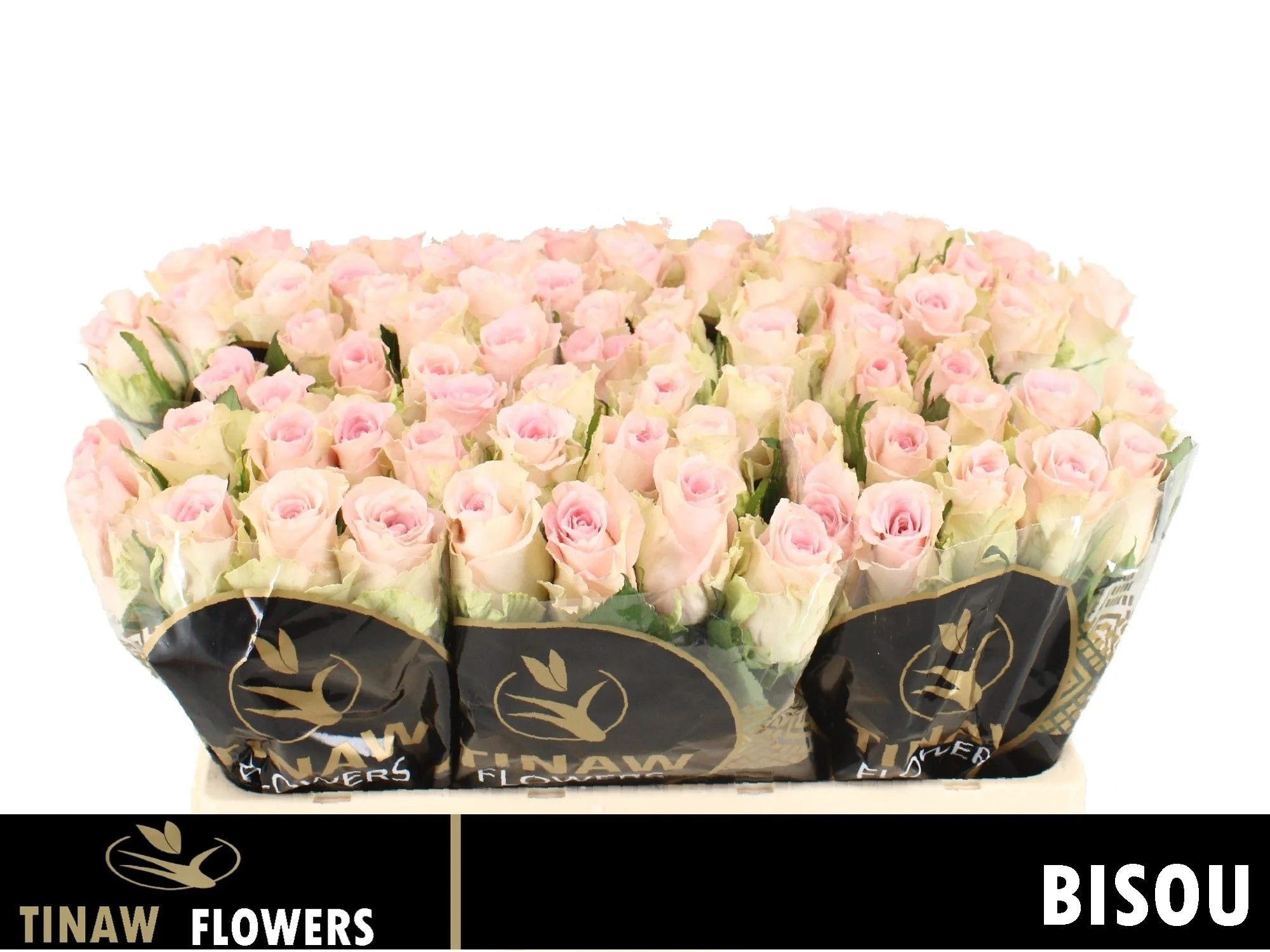 R-GR-BISOU-50CM
