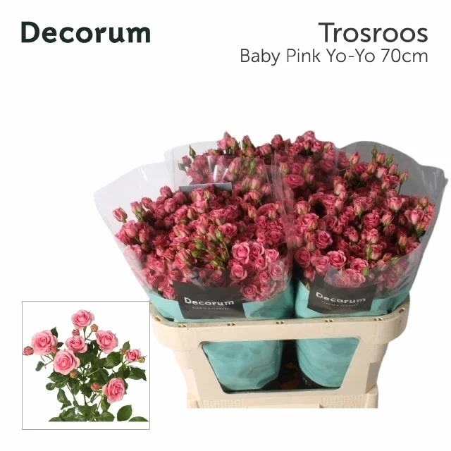 R-TR-BABY-PINK-YO-YO-70CM
