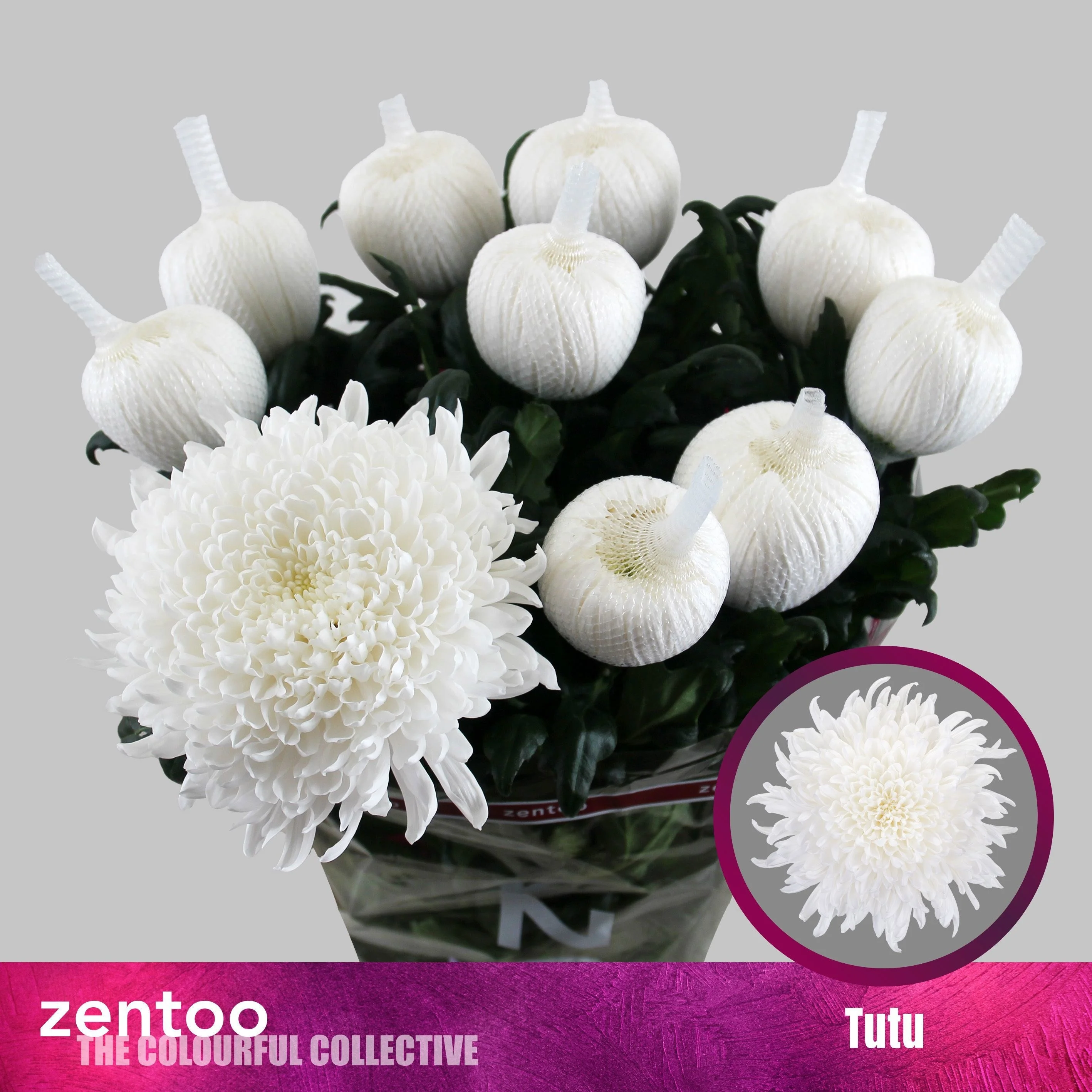 CHR-G-TUTU-70CM