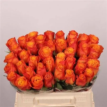 R-GR-CONFIDENTIAL-35CM