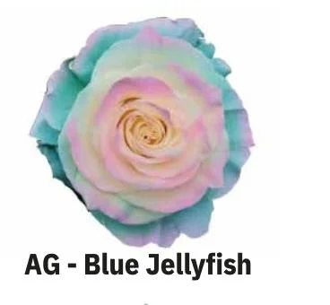 BOYALI EKVATOR GÜL BLUE JELL FİSH 