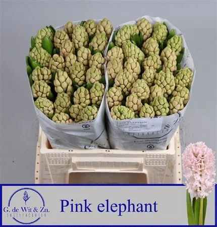 HYAC-PINK-ELEPHANT-30CM