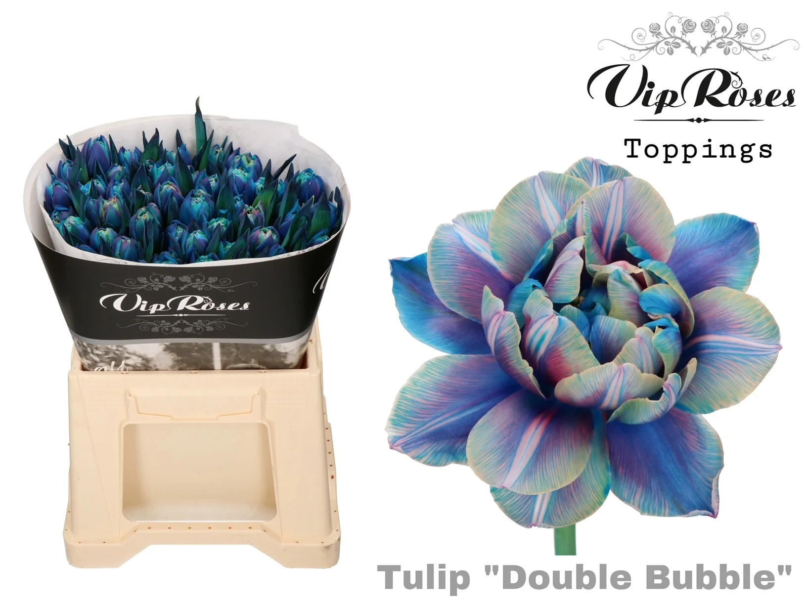 TU-DU-DOUBLE-BUBBLE-38CM