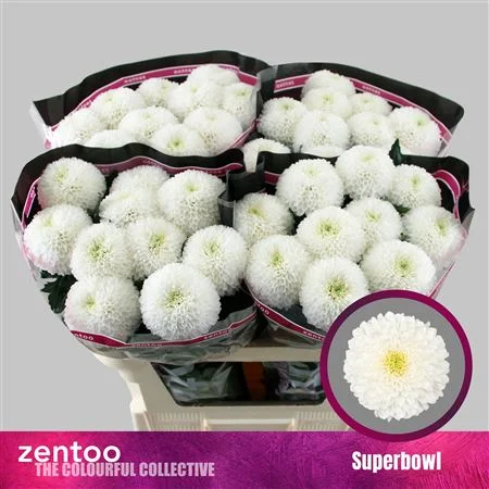 CHR-G-SUPERBOWL-70CM